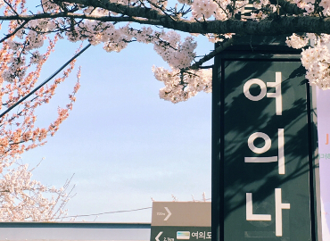 A sign with Korean letters photographed against cherry blossoms.